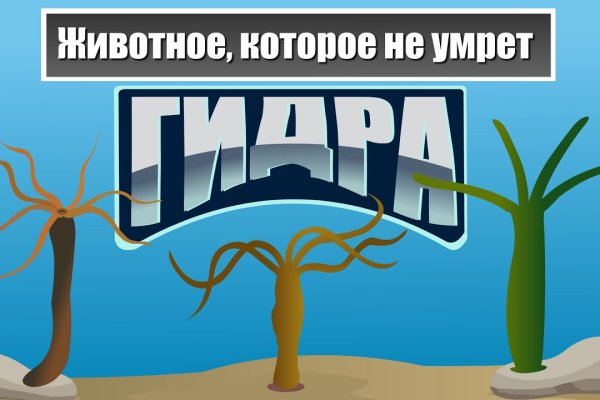 Кракеном называют