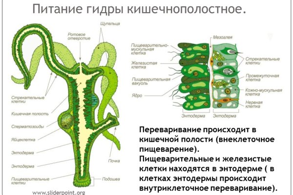 Кракен ссылка тор браузер
